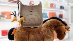 hermes timeless bags evelyne