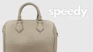 top 5 louis vuitton bags you should have in your collection speedy